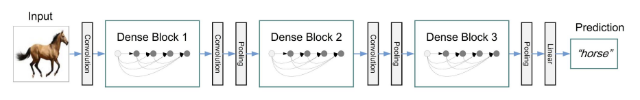 dense net